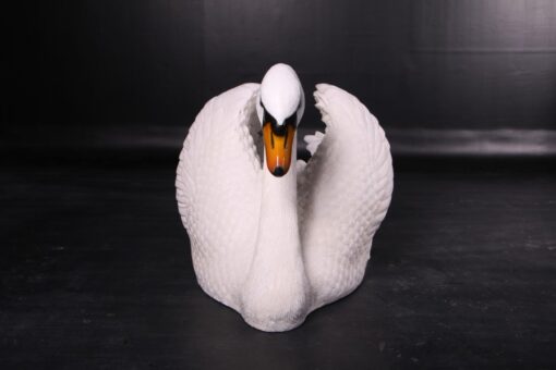 SWAN JR 150221 - Image 3