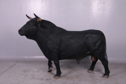 BLACK SPANISH BULL JR 150232 - Image 2