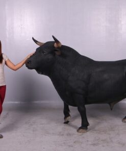 BLACK SPANISH BULL JR 150232