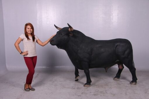 BLACK SPANISH BULL JR 150232