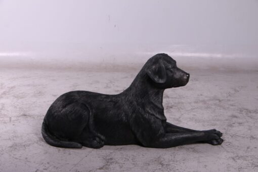 LABRADOR LYING DOWN JR 150251 - Image 12