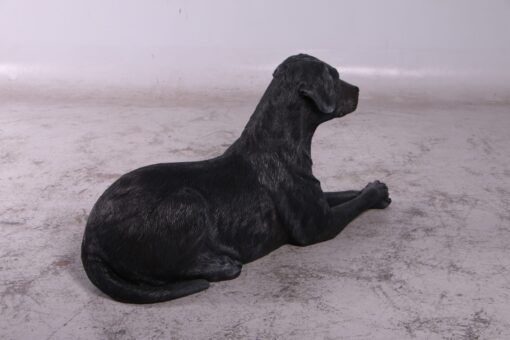 LABRADOR LYING DOWN JR 150251 - Image 14