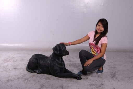 LABRADOR LYING DOWN JR 150251 - Image 13