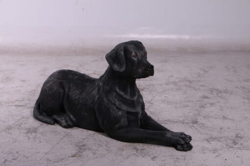 LABRADOR LYING DOWN JR 150251 - Image 11