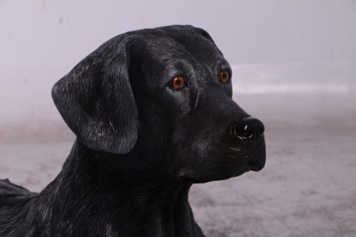 LABRADOR LYING DOWN JR 150251 - Image 10