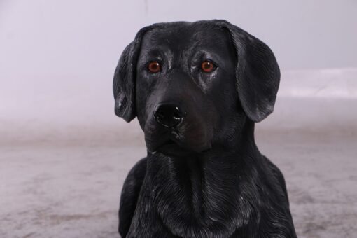 LABRADOR LYING DOWN JR 150251 - Image 7