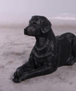 Labrador Dog - Black - Lying Down | JR 150251