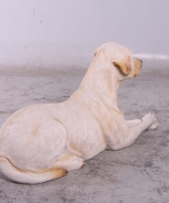 Alternative view of Labrador Dog - Yellow - Lying Down | JR 150251