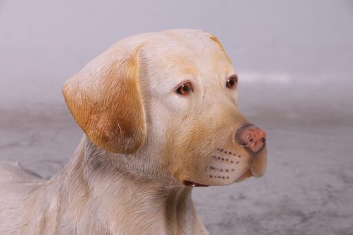 LABRADOR LYING DOWN JR 150251 - Image 39