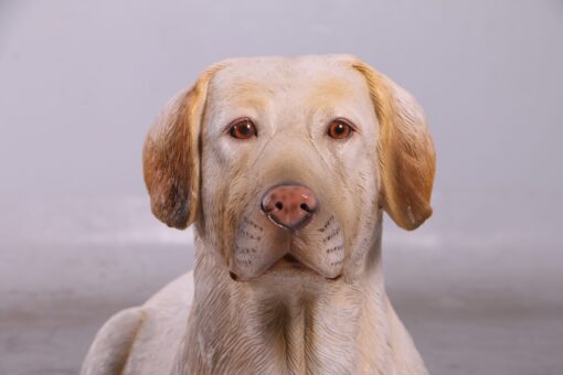 LABRADOR LYING DOWN JR 150251 - Image 36