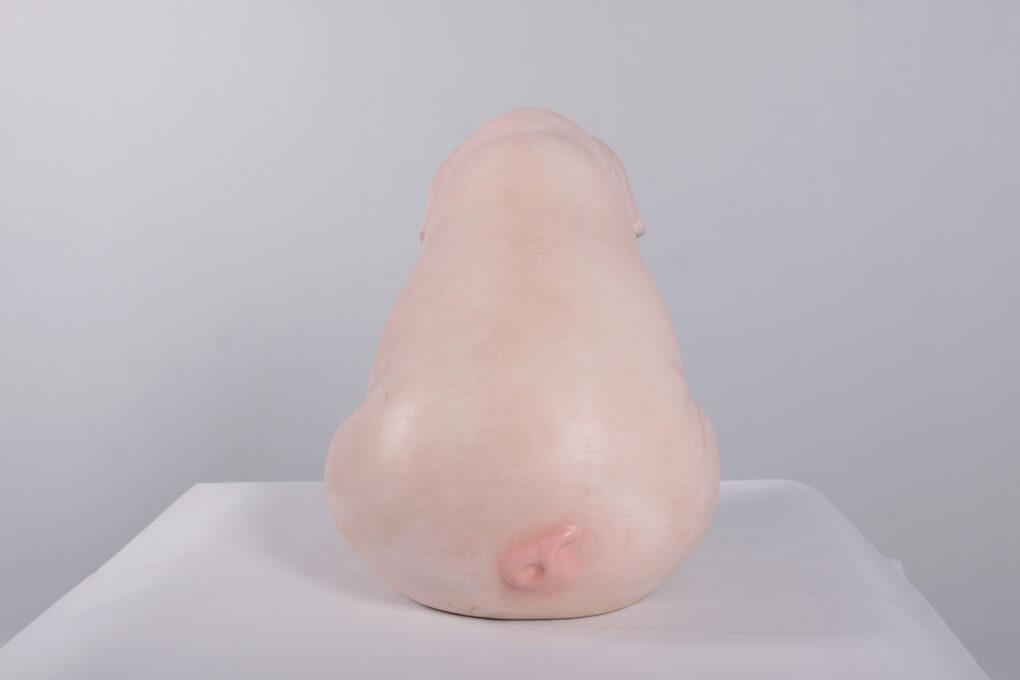 Pink Piglet - Sitting | JR 160259 - Image 9