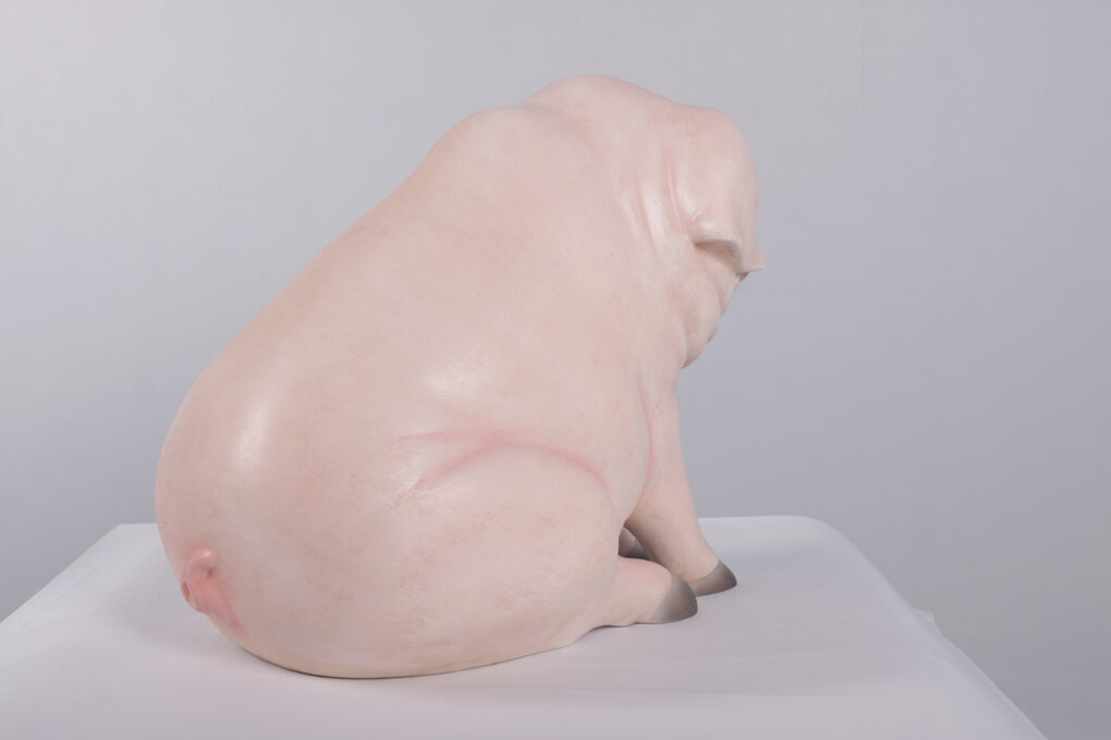 Pink Piglet - Sitting | JR 160259 - Image 10