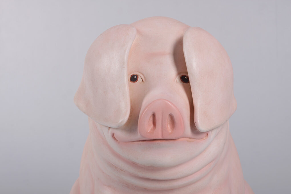 Pink Piglet - Sitting | JR 160259 - Image 5
