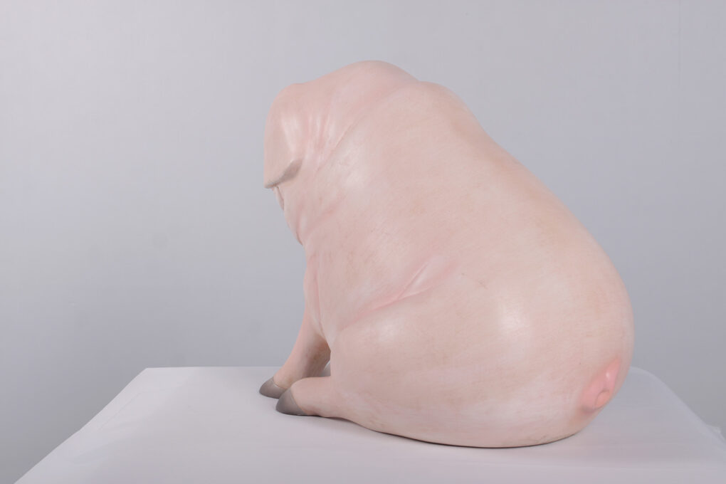 Pink Piglet - Sitting | JR 160259 - Image 8