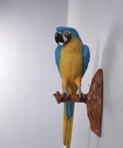 Blue and Yellow Parrot Wall Décor | JR 170015