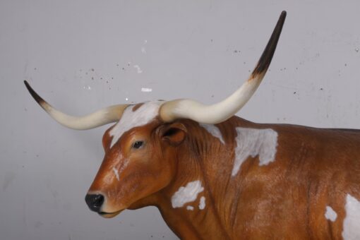 TEXAS LONG HORN BULL JR 170163 - Image 6