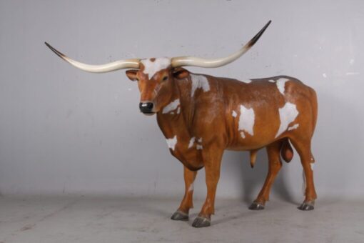 TEXAS LONG HORN BULL JR 170163