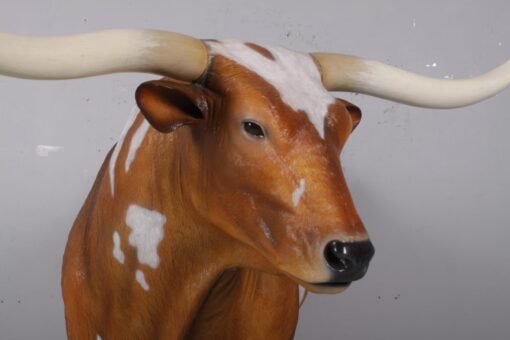 TEXAS LONG HORN BULL JR 170163 - Image 11