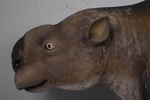 DIPROTODON JR 170220 - Image 9