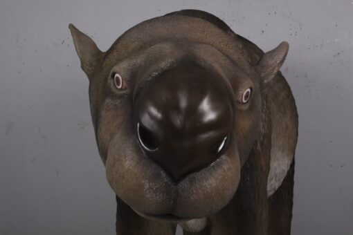 DIPROTODON JR 170220 - Image 4