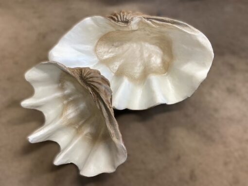 SEA SHELL JR 1784 - Image 3