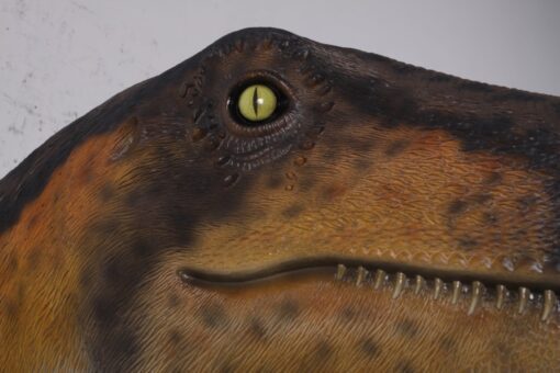 THEROPOD HEAD WALL DECOR JR 180097 - Image 4