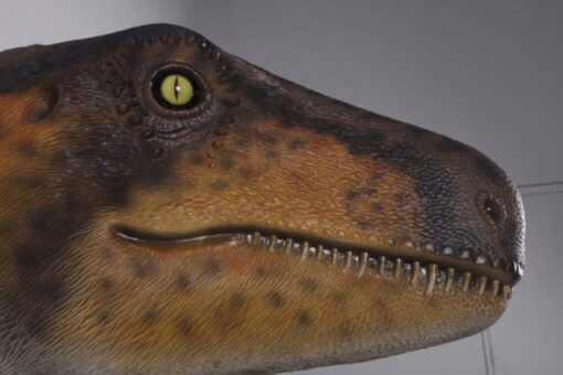 THEROPOD HEAD WALL DECOR JR 180097 - Image 2