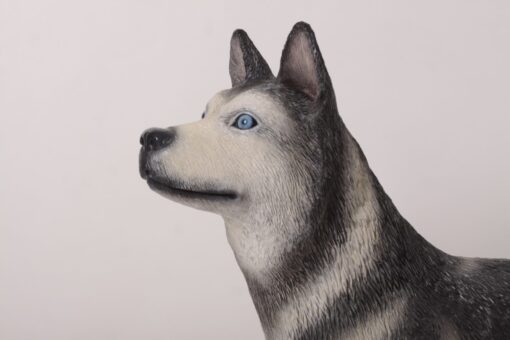 HUSKY JR 180171 - Image 9