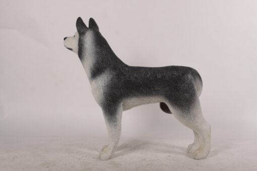 HUSKY JR 180171 - Image 10