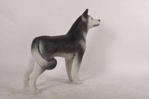 HUSKY JR 180171 - Image 3