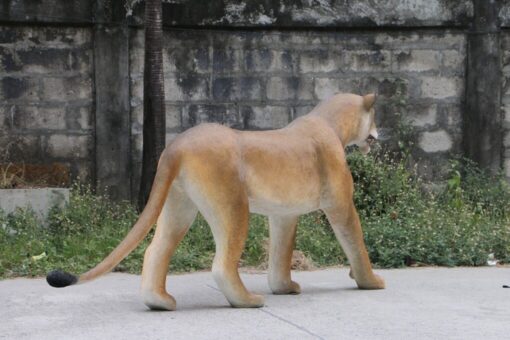 WALKING LIONESS JR 180220 - Image 2