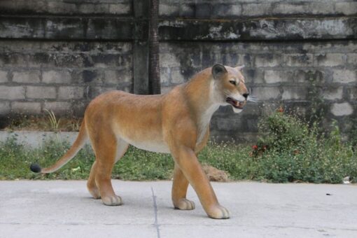 WALKING LIONESS JR 180220