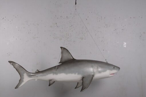 GREAT WHITE SHARK 6FT JR 190019