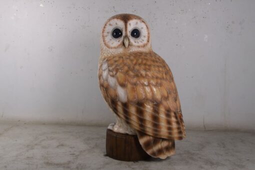 OWL JR 190022