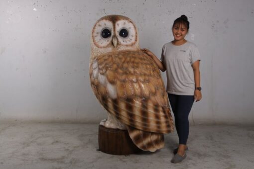 OWL JR 190022 - Image 4