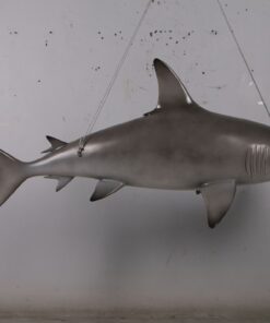 Scalloped Hammerhead Shark 6ft | JR 190101