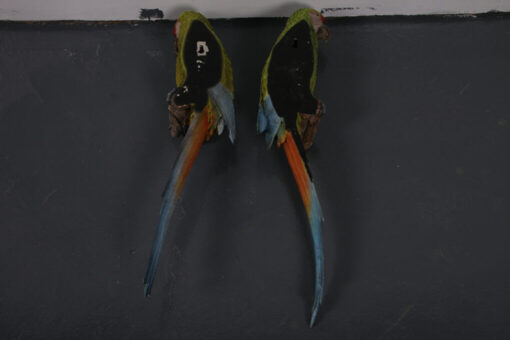 BUFFONS MACAW JR 190152 SET OF 2 - Image 2