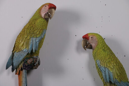 BUFFONS MACAW JR 190152 SET OF 2 - Image 4