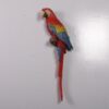 190159 scarlet macaw red and blue