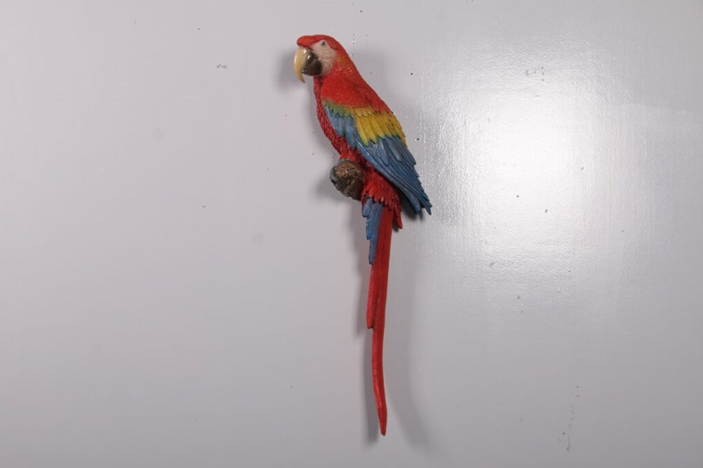 190159 scarlet macaw red and blue
