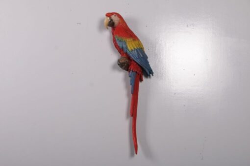 SCARLET MACAW  JR 190159