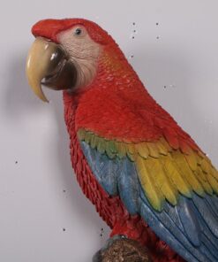 190159 scarlet macaw red and blue