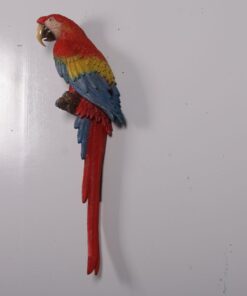 190159 scarlet macaw red and blue