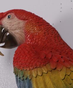 190159 scarlet macaw red and blue
