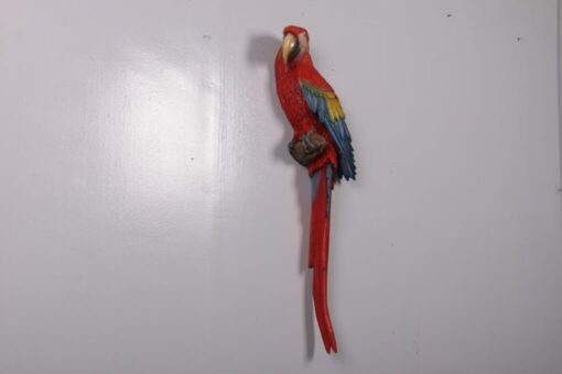 SCARLET MACAW  JR 190159 - Image 2