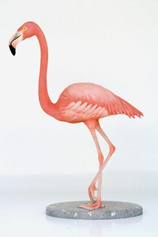 FLAMINGO JR 2610 - Image 2