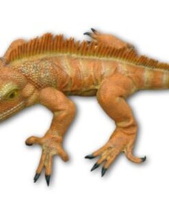 Iguana - Orange | JR 2160