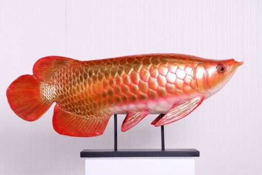 AROWANA FISH JR 220104