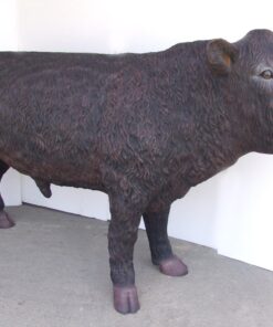 BLACK ANGUS BULL JR 2300