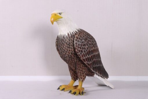 AMERICAN BALD EAGLE JR 230086